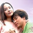 人魚公主(韓國2002年朴容夏等主演電視劇) 人魚公主(韓國2002年朴容夏等主演電視劇)