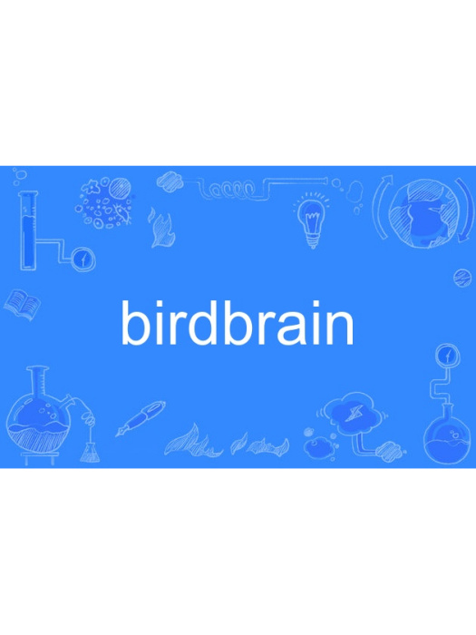 birdbrain birdbrain