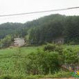 雙華村(湖南省婁底市雙峰縣青樹坪鎮下轄行政村) 雙華村(湖南省婁底市雙峰縣青樹坪鎮下轄行政村)