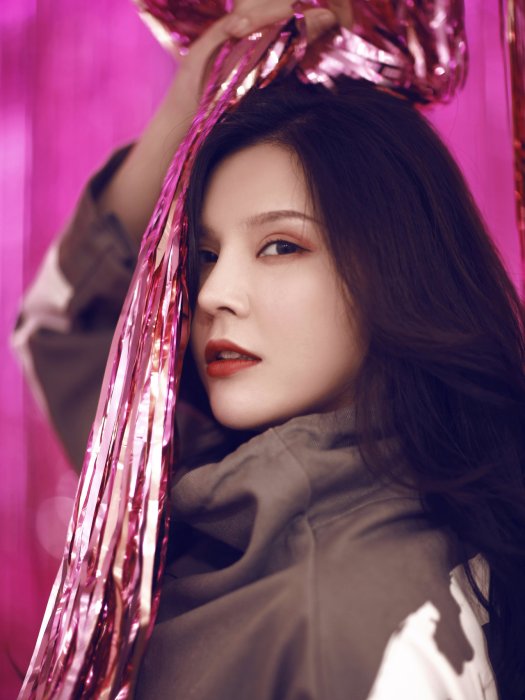 楊嵐(中國內地女演員) 楊嵐(中國內地女演員)