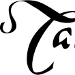 takamine(日本著名吉他品牌)