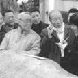 董小狐 董小狐