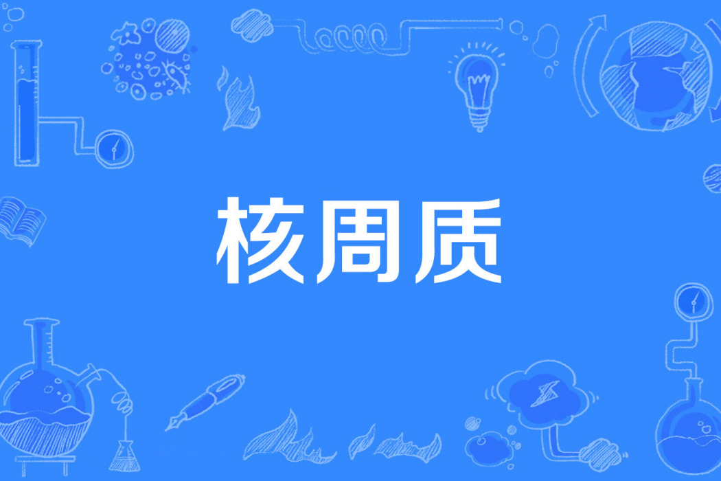 核周質 核周質