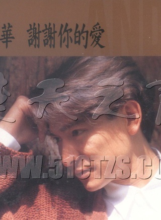 石洋子