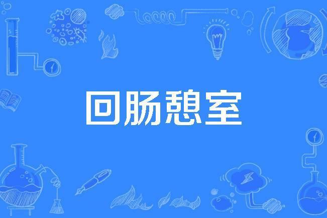 迴腸憩室 迴腸憩室