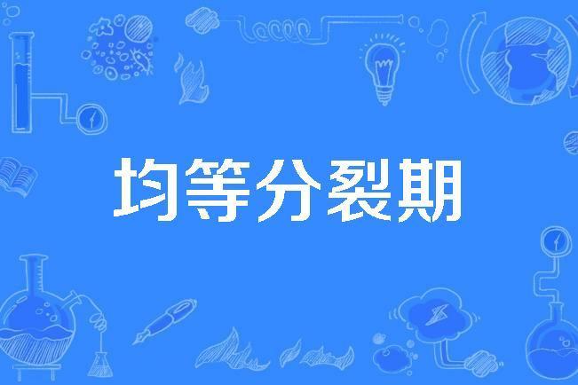 均等分裂期 均等分裂期