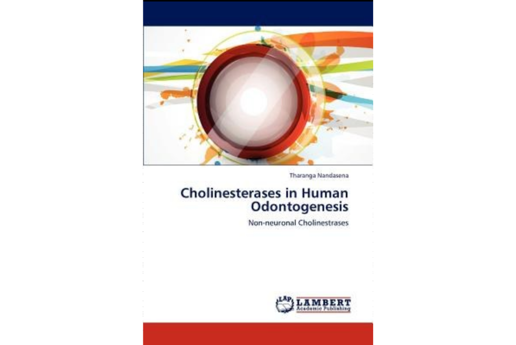 Cholinesterases in Human Odontogenesis