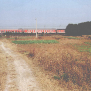 青陽山遺址 青陽山遺址