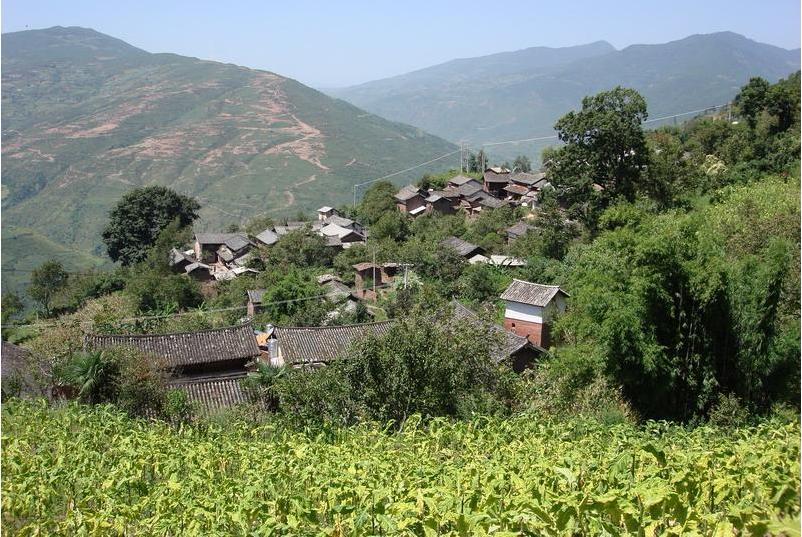 北蒲洲營村 北蒲洲營村