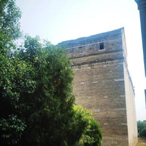 陳老亭莊園