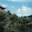 昌靈山 昌靈山