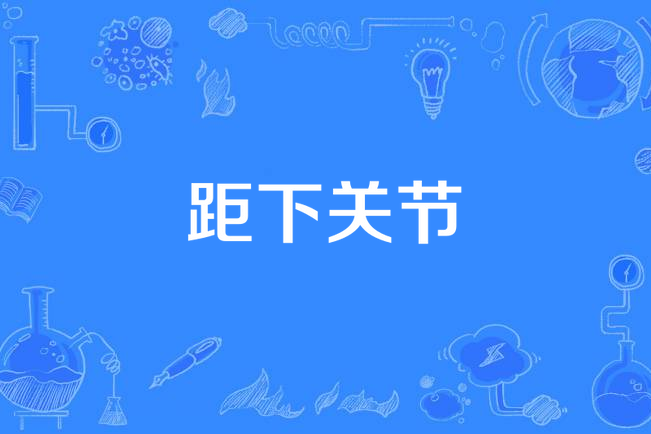 距下關節 距下關節