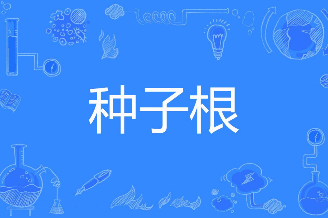 種子根 種子根