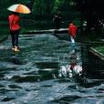 浪跡女人 浪跡女人