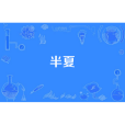 半夏(僅七年創作的現代言情類網路小說) 半夏(僅七年創作的現代言情類網路小說)