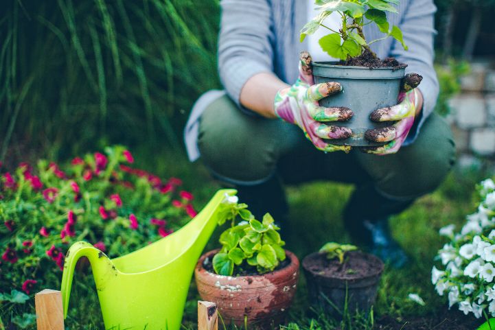 Green fingers Green fingers
