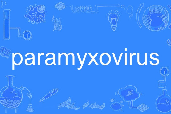 paramyxovirus paramyxovirus