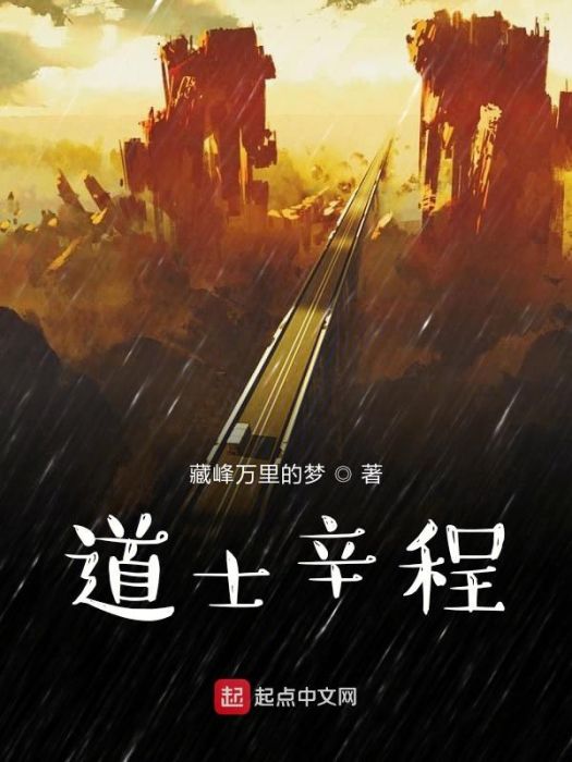 道士辛程 道士辛程