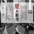 愛人動物(飛鳥013所著小說)
