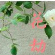花劫 花劫