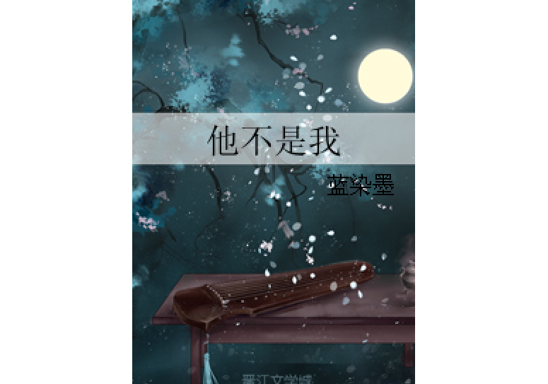 他不是我(小說) 他不是我(小說)