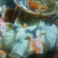 蒸梭子蟹 蒸梭子蟹