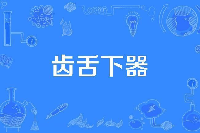 齒舌下器 齒舌下器