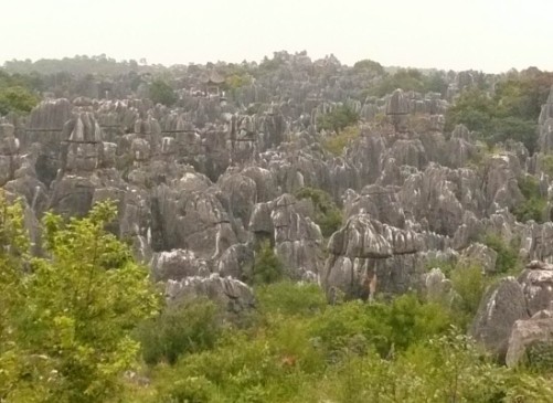 楊柳鄉楊家寨村金鳳嶺未開發的石林