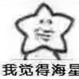 我覺得海星 我覺得海星