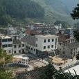 中洲鎮(浙江省淳安縣下轄鎮)