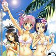 ToLove流 ToLove流