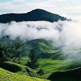 九嶺山脈 九嶺山脈