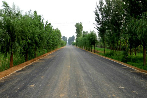 路已村 路已村