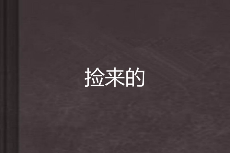 撿來的 撿來的