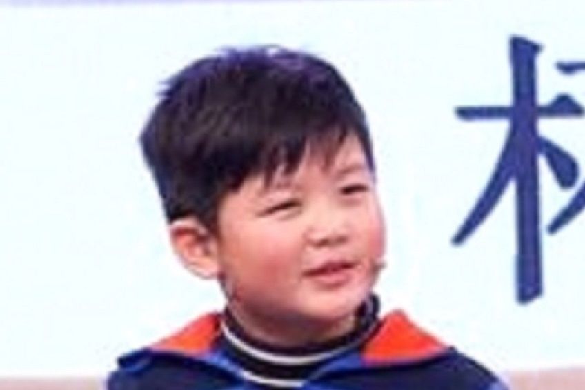 崽崽(傅浤鳴與程愫的兒子) 崽崽(傅浤鳴與程愫的兒子)