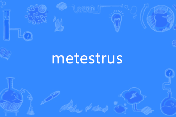 metestrus metestrus