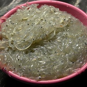 魩仔魚