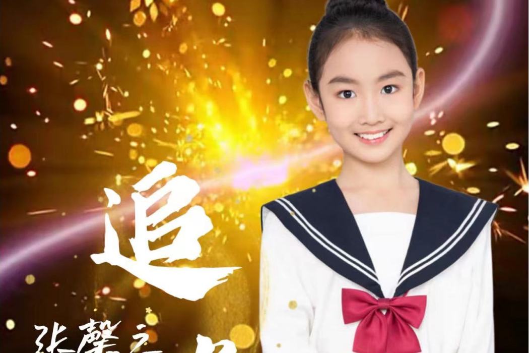 追光(張馨之演唱的歌曲) 追光(張馨之演唱的歌曲)