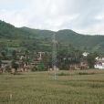 萬年青村(雲南姚安縣前場鎮下轄村) 萬年青村(雲南姚安縣前場鎮下轄村)