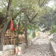 陳太務村 陳太務村