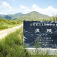唐貞陵 唐貞陵