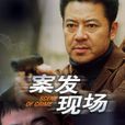案發現場(2004年閆宇彤導演電視劇)
