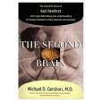 The Second Brain The Second Brain