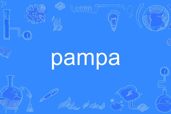 pampa pampa