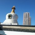 西塔(遼寧省瀋陽市西塔) 西塔(遼寧省瀋陽市西塔)