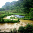 石丫口村(貴州省畢節市織金縣中寨鄉下轄村) 石丫口村(貴州省畢節市織金縣中寨鄉下轄村)