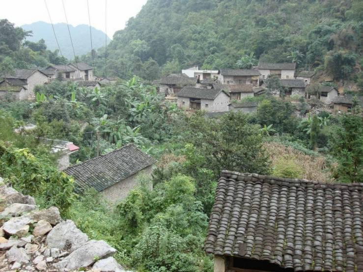 栗樹坡村(雲南曲靖市羅平縣大水井鄉下轄村)