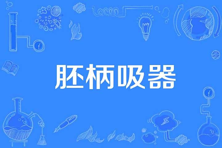 胚柄吸器 胚柄吸器