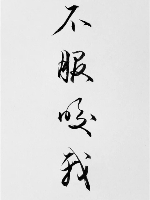 不服咬我 不服咬我