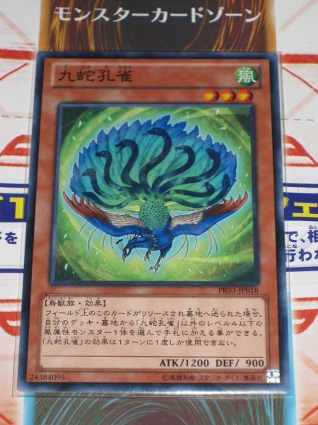 九蛇孔雀 九蛇孔雀